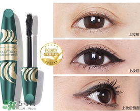 �۲���׸��ĸ����Ӻã��۲���׸��Ƽ�